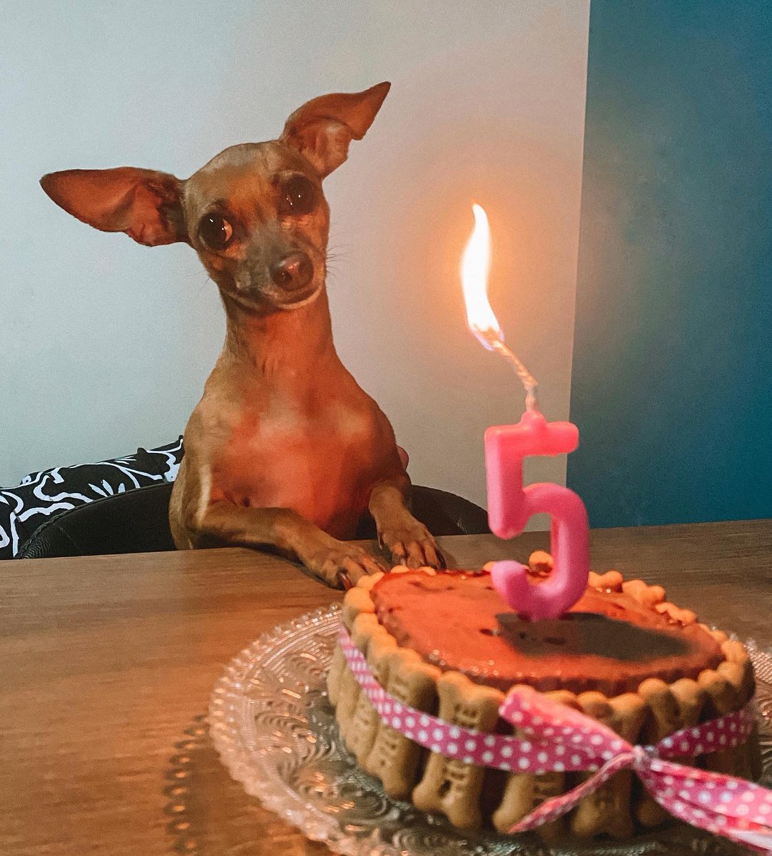 brrunabarbosa's tweet photo. Preciso compartilhar essa fofura em todos os lugares, 5 anos do amorzinho da minha vida 🥹❤️ https://t.co/VN8uGXTVuW