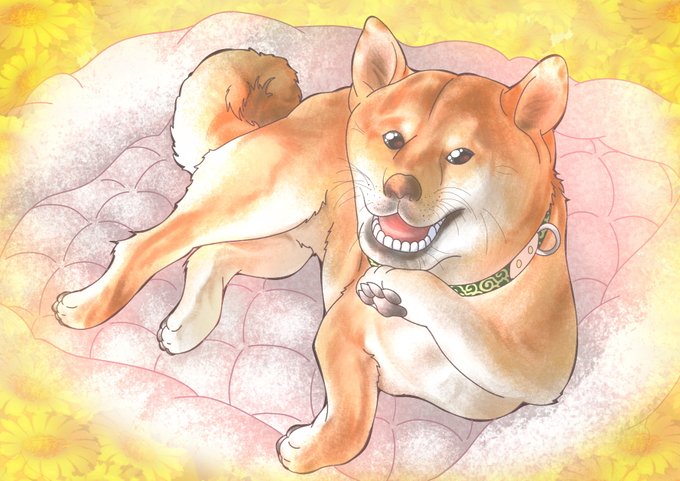 「花 柴犬」のTwitter画像/イラスト(新着)｜2ページ目