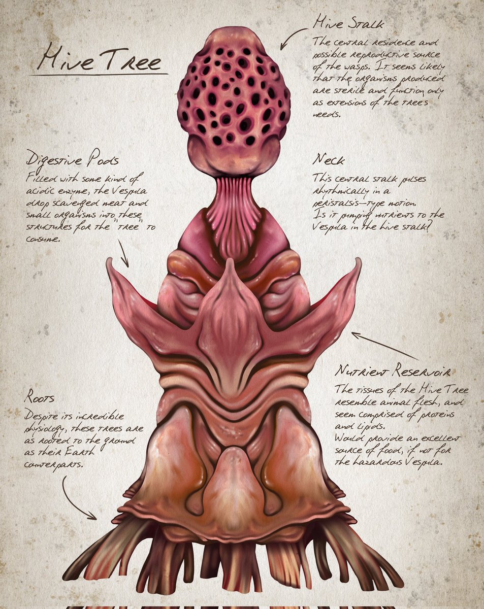 「Alien tree specie sketches from an older」|Off to a Rough Artのイラスト