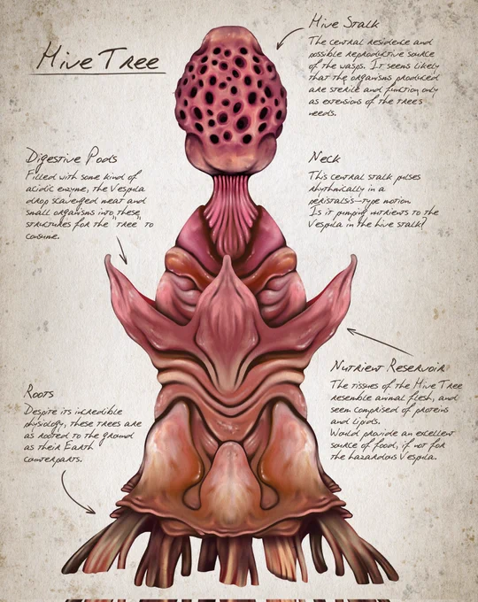 Alien tree specie sketches from an older sci-fi project  