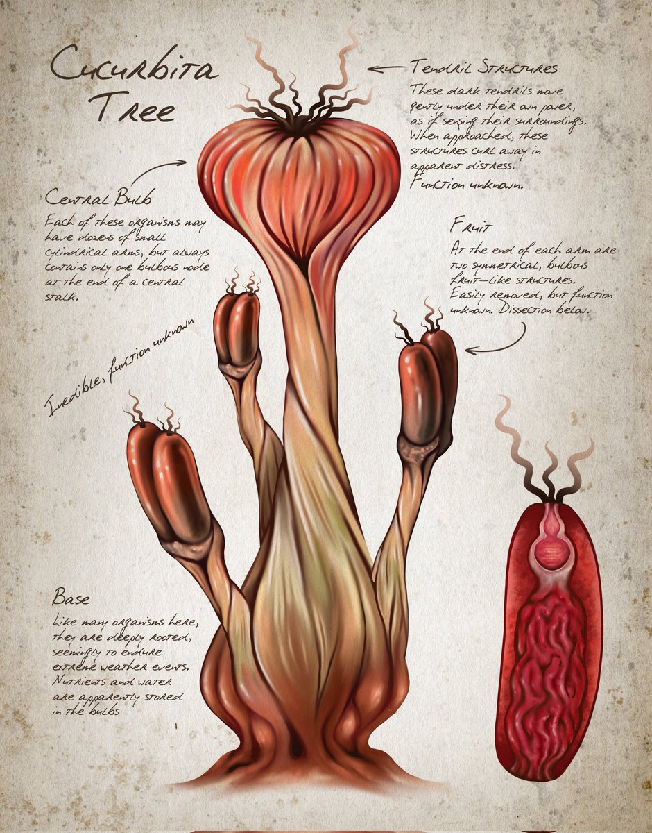 「Alien tree specie sketches from an older」|Off to a Rough Artのイラスト
