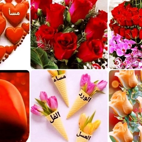 أسماء سعيد tweet media