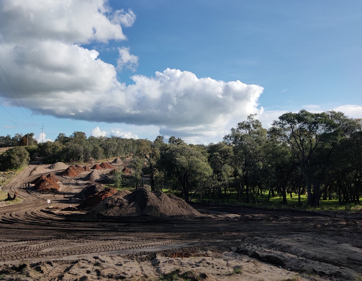 MissT2020's tweet photo. How much more of our precious environment needs to be lost? #deathbyathousandcuts at what point do we need to get to, to realise we've gone too far? Stop cutting down trees and habitats for development. It's in your hands @tanya_plibersek #austpol https://t.co/HptLtPzdeH