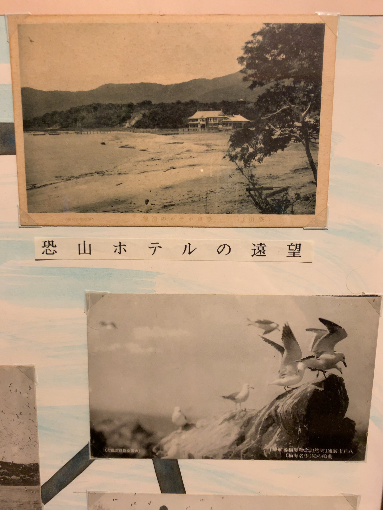 岡村豊彦 昨晩のブラタモリは恐山 案内の住職の方が 恐山 という新書を出してて以前読んでるのですが 見つからず 代わりに弘前城近くのねぷたの里で見かけた写真 恐山ホテル 番組冒頭でもありましたが 恐山やその寺がイタコを集めてるのではなくて