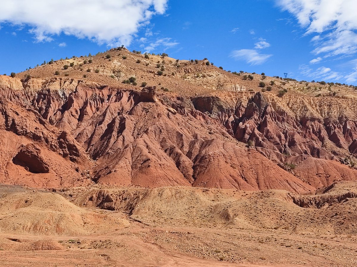 L_Matias_'s tweet photo. Joining the #MEADCLIM and #OUTevolution samplings in a same trip was a amazing idea, which allowed us to share very good moments with @mabdelaziz_moha @AlistairJump and @GarciaMunoz_Ana and visiting astonishing landscapes across Morocco https://t.co/frKeAaKq9Q