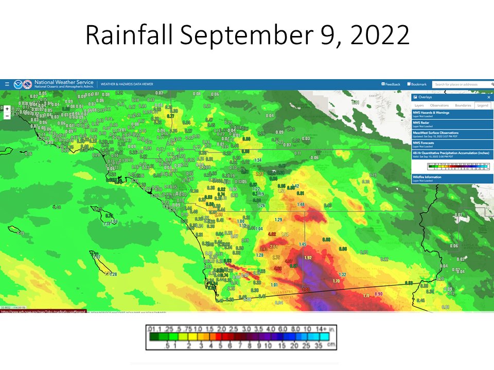 NWSSanDiego's tweet photo. Weather related impacts from wind and rainfall plotted on maps from #TCKay #socal https://t.co/sa1t6jbOBY