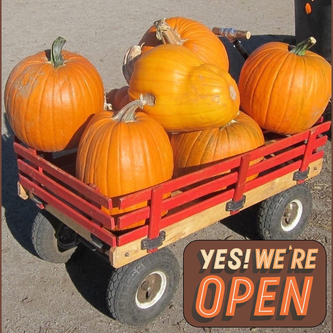 Farmer John's Pumpkin Farm is open daily from 9am to 6pm through October 31st. Stop by and load up your little red wagon with goodness. See you soon!🎃

#pumpkin #pumpkinfarm #familyfun #pumpkinpatch #hayride #dogfriendly #bayareadaytrip #halfmoonbay #redwagon