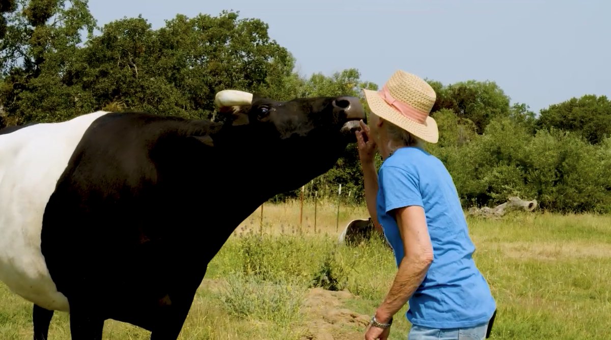 AllAcrossOregon's tweet photo. Dunbar Farms has a vineyard, tasting room serving their Rocky Knoll wines along with lunch &amp; dinner, an honor barn for their locally farmed goods, and live music in their outdoor venue when the weather is good. 

Watch this clip from Season 1:
https://t.co/iaTSCNaN6o https://t.co/RbbRhBxrJZ