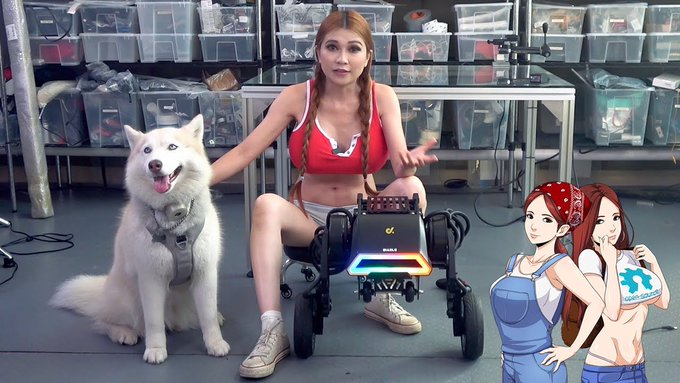 Now live for everyone!  Lockdown Errands with the Diablo Robot! https://t.co/8S7iw75W74 https://t.co