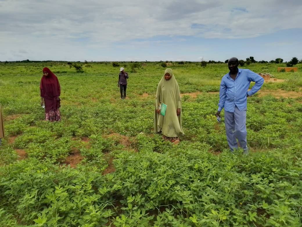 ISSD-Sahel tweet media