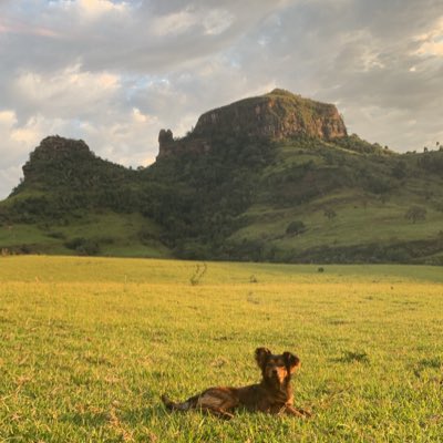 Polocrypto0's tweet photo. #NovaFotoDePerfil https://t.co/eHJpLwa730