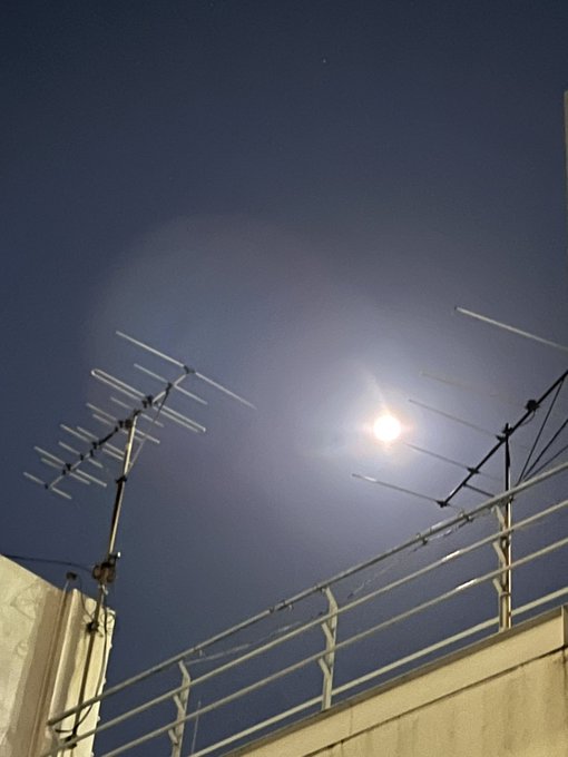 Twitterのコスプレ画像13