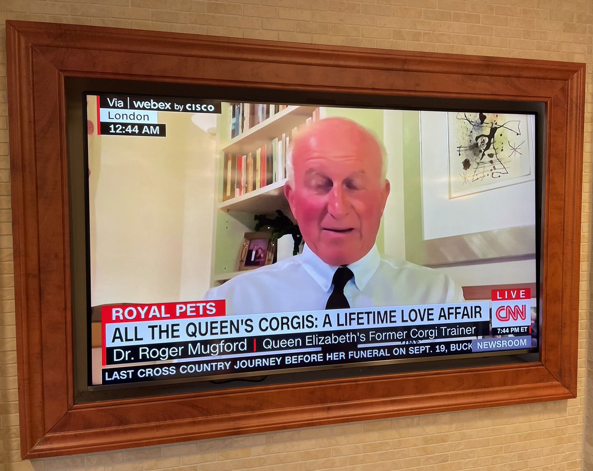 Harry Thomas tweet media