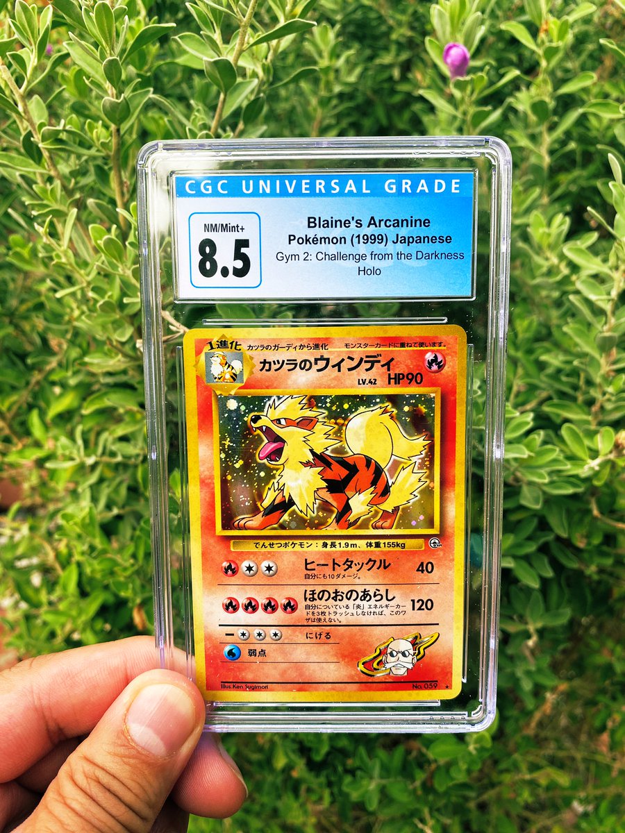 gymleadergelly's tweet photo. next vintage slab giveaway is blaine’s arcanine! winner picked live on my stream 9/11! good luck yall! 🐶

1️⃣ like &amp; RT
2️⃣ comment fav dog pokemon
3️⃣ follow my ig (optional)
➡️ https://t.co/F84GH8QmYT

#pokemon #tcg #pokemongo #gamer #pokemonunite #nintendo #pokefam https://t.co/DY5APVsTCm