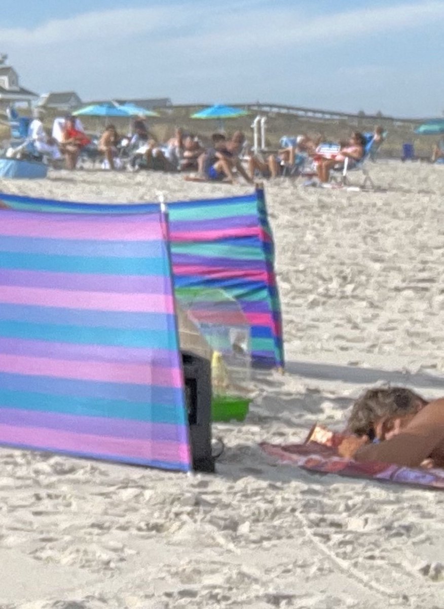 respect to this crew who brought their bird to the beach today. some next level stuff right there.