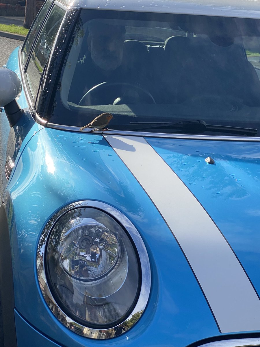 madrao's tweet photo. @MINI &amp; Robin 💕 https://t.co/wJbFRTrjrO