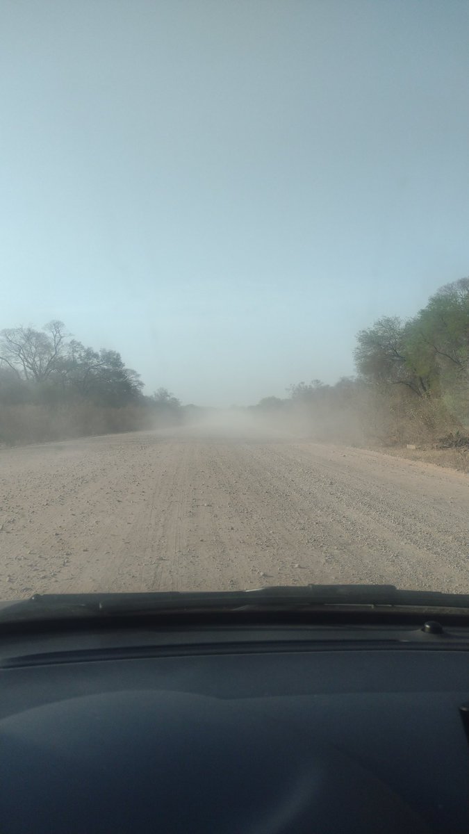 Un día loco para volver a casa