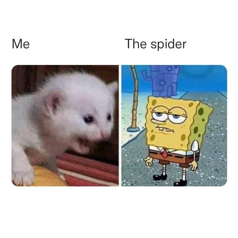Soy