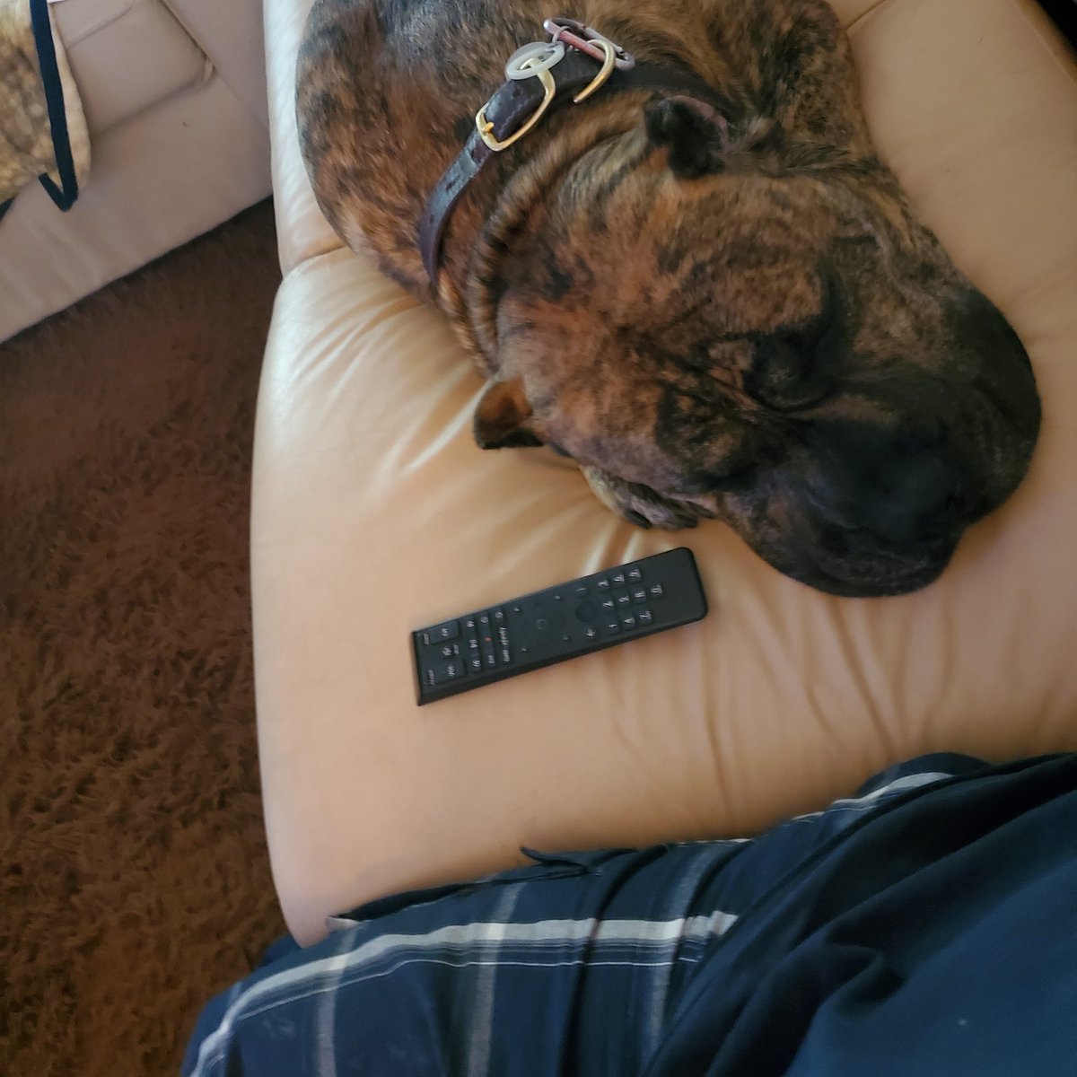 jd (@deanandrw) on Twitter photo 