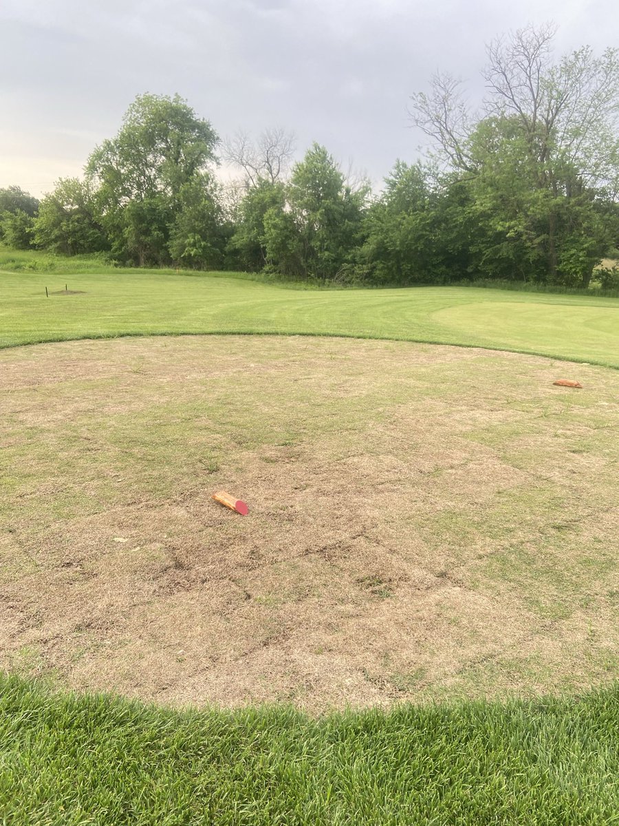 mtbGolf's tweet photo. @kevcmoore https://t.co/s66R8i831T