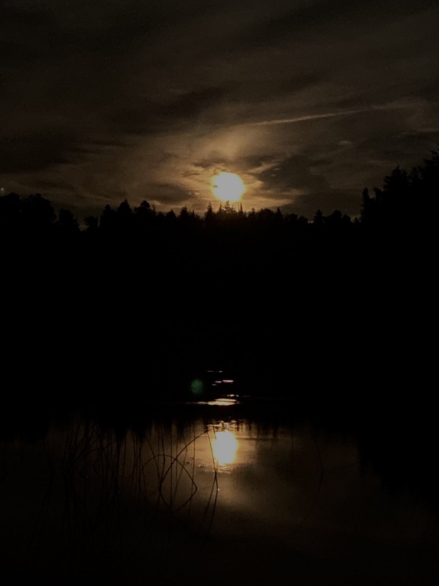 zebrah_c's tweet photo. #sunset in the west over #malcolmlake 
#fullmoon #rising in the east over #malcolmlake
#northfrontenac
#endlesssummer https://t.co/moxaQ1YFnJ