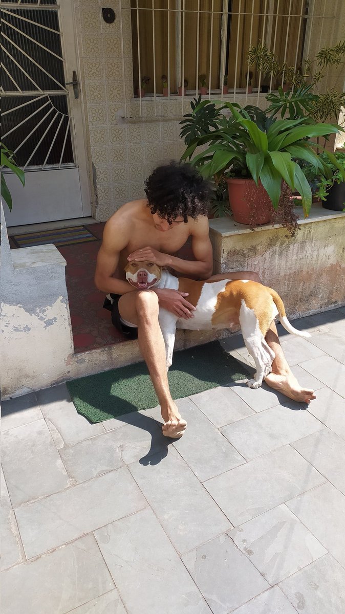 MarcosWelison3's tweet photo. @whindersson Barbie a Pitbullzinha mais tímida https://t.co/0Gmv7IJ3xM