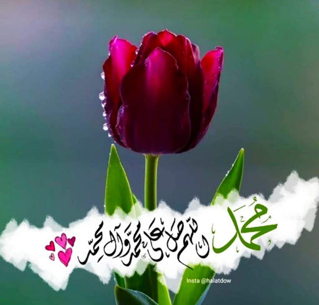 @AfshanLatif3 @AinViews @_AMIR7 @MaryamNSharif @0fasii @0Ain_ @0Ain1 @1rjj3 @ajz_07 @naslve @67_mrb @1MSQ7 @Haji733 @AA3287 @MKB976 @AshrafRa9 @Abera_1 @1S0N1A @SMN__5 @doc_1978 @KafeelYasir @AmjadUbaid @AbuBukar35 @rgd51495175 @ChBashirAhmad9 @NaveedFaisalMu3 اللہ اس شیرنی کی غیبی مدد کرے امین🌸