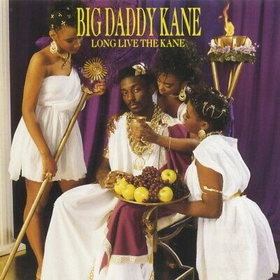 Happy birthday Big Daddy Kane, I love the artwork on your 1988 album 