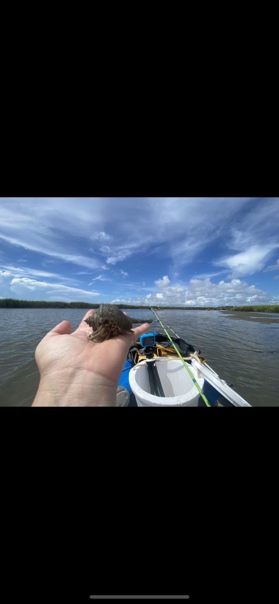 Well…I caught crabs 🦀 
youtu.be/DL8uZ6onVpE
#crabs #fishing #stsimons #youtube