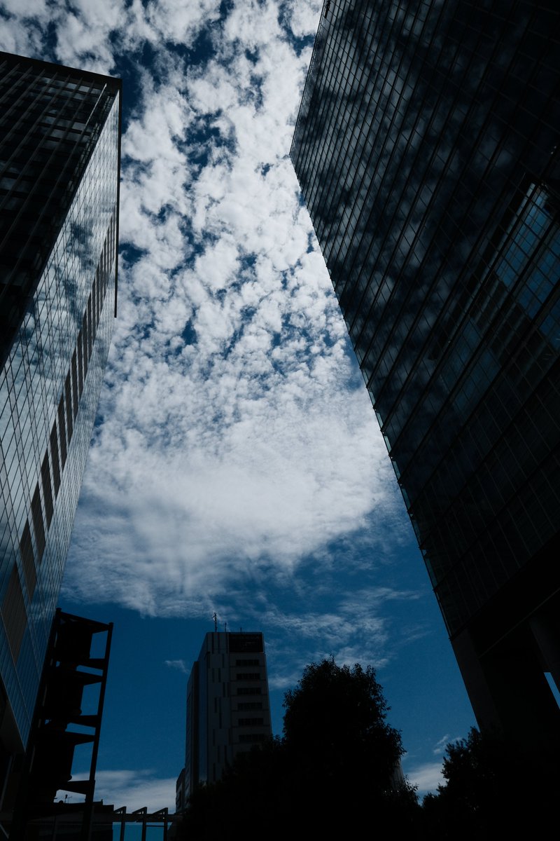 ikefukurouANZUU's tweet photo. 秋空
#ファインダー越しの私の世界 #fujiphoto #tokyo #sky #空 #秋葉原
Camera: #fujifilm_xseries #fujifilm X-T4
別カット
これはこれで好き。 https://t.co/vnT8wqSHWK