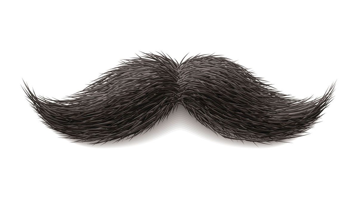 StacheMighty's tweet photo. The Stache Knoweth https://t.co/WDqILt5D3D