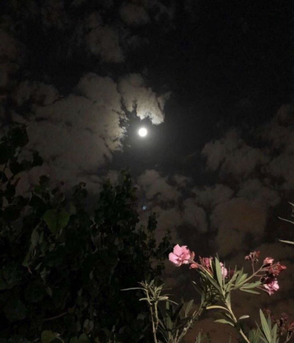 ليته قمر واخايله ماهو بشرط إني اجيه
بس االبلا اني ماقدرت اجيه ولا اخايله