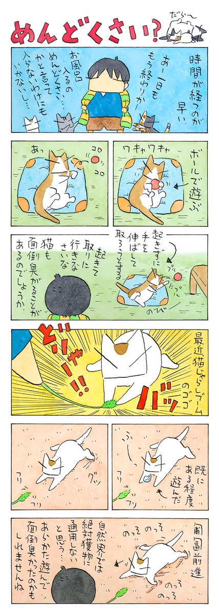 面倒臭い、もったいない│フェリシモ猫部 https://t.co/zu8AQbpz6r 