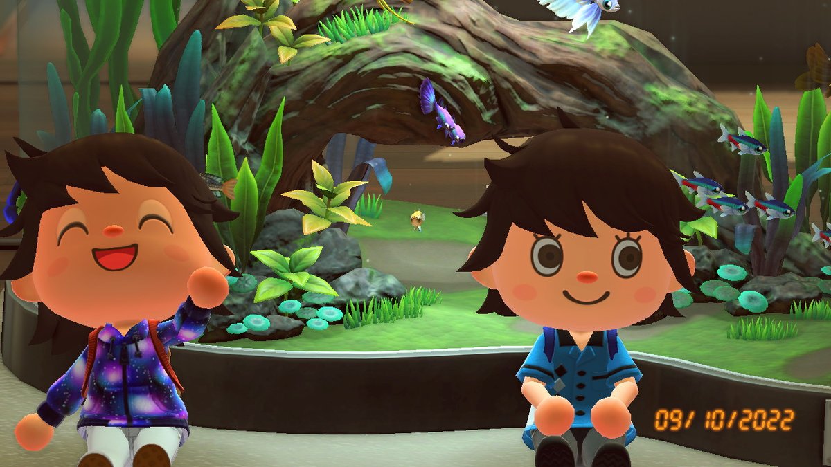 ACNH_Bermuda's tweet image. Fun museum moments!!

#BooIsland #AnimalCrossing #ACNH #NintendoSwitch
