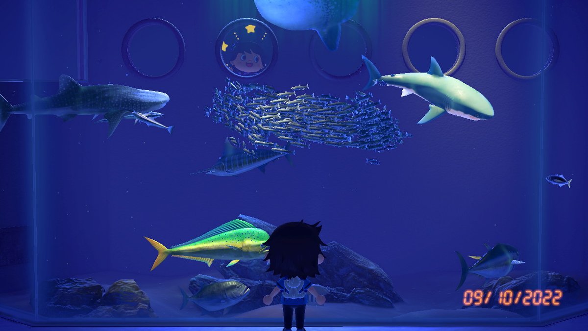 ACNH_Bermuda's tweet image. Fun museum moments!!

#BooIsland #AnimalCrossing #ACNH #NintendoSwitch