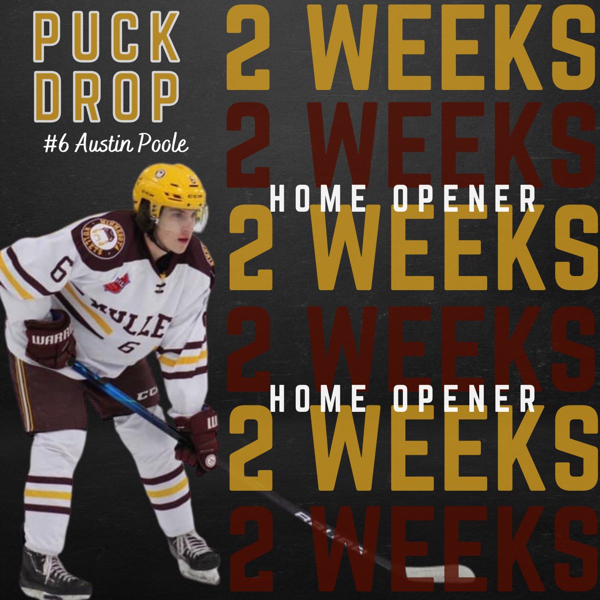 Minnesota Mullets tweet media