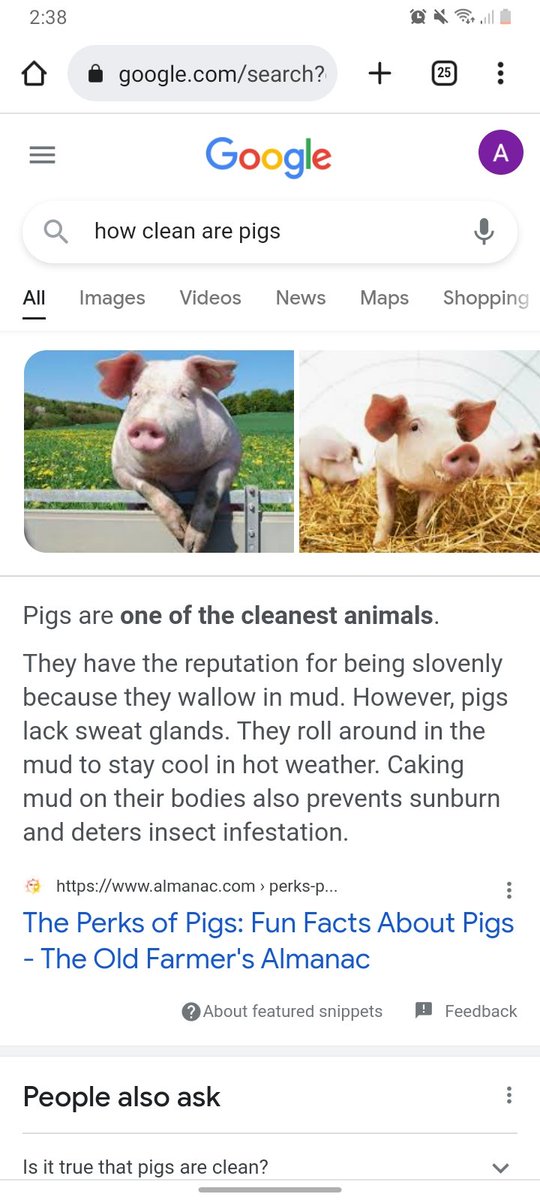 IsaiahDouglas78's tweet photo. @killgrayson @TheGuy12314 @Majd21155490 @SaiyanZay1 @Jidion6 Facts. They on some 600 ad bs, like bih they don't let pigs eat their owb shit. Ignorant fuckers https://t.co/lE02zMJCqU