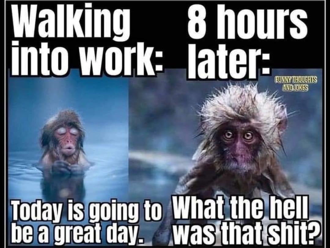 MeganKoopman6's tweet photo. @AlaneAdamsBooks #TeacherLife #aintnotiredliketeachertired https://t.co/thh3Ihba8v