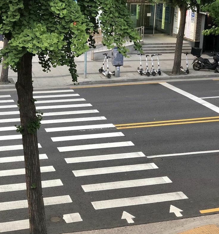 ͏͏͏͏͏͏
 ͏͏͏͏͏͏

 岩泉。

nothing better than starting your early sunday morning by having a walk around the block. i even met new friends.  

 ͏͏͏͏͏͏