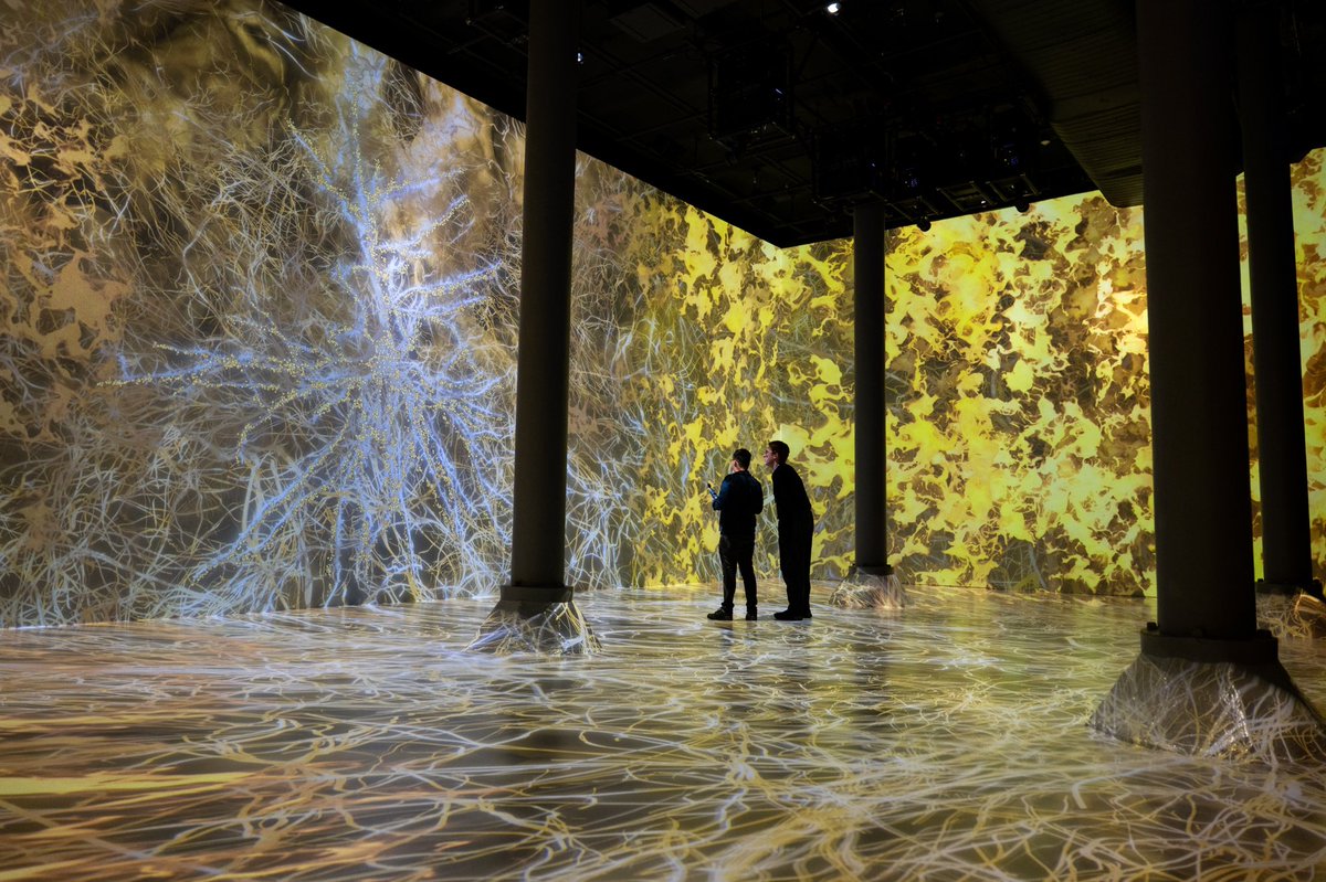 artechouse's tweet photo. At #ARTECHOUSENYC you can discover the next dimension of storytelling and step inside the human brain. #LifeofaNeuron is a one-of-a-kind immersive experience that takes you through the #HeroNeuron’s life from the early stages of pre-birth and beyond. https://t.co/vg6vRsrRHq