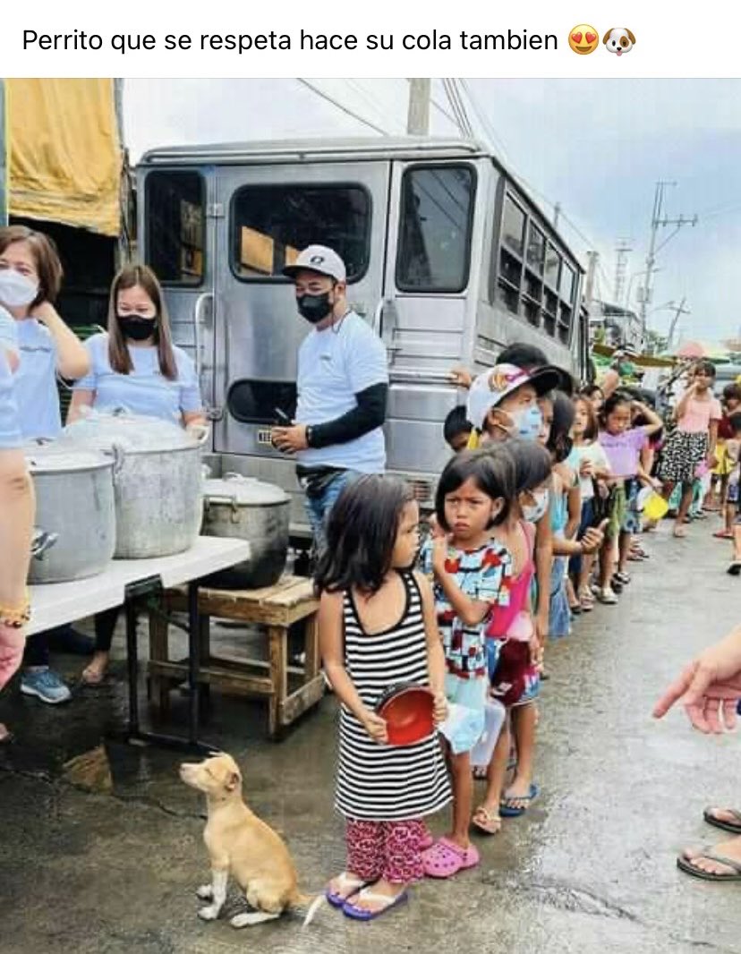 Perrito que se respeta hace también su cola!☺️