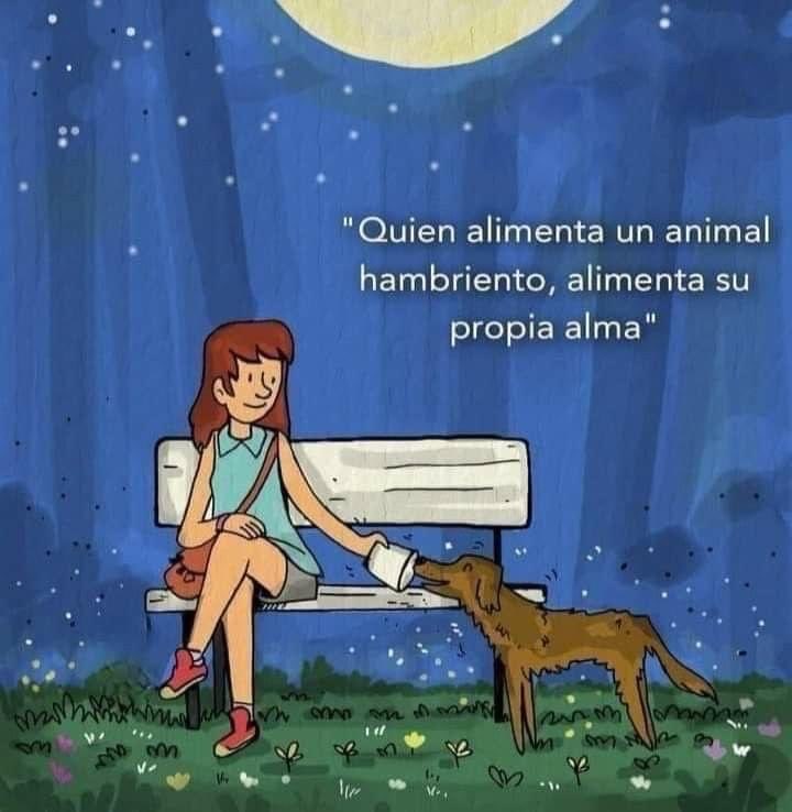 Quien alimenta a un animal hambriento, alimenta su propia alma!🙂