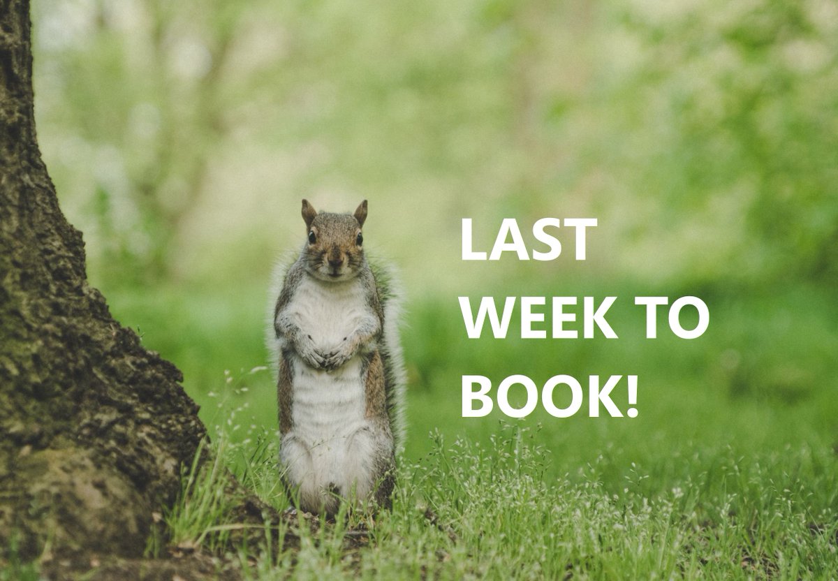 BSDHT South West South Wales tweet media