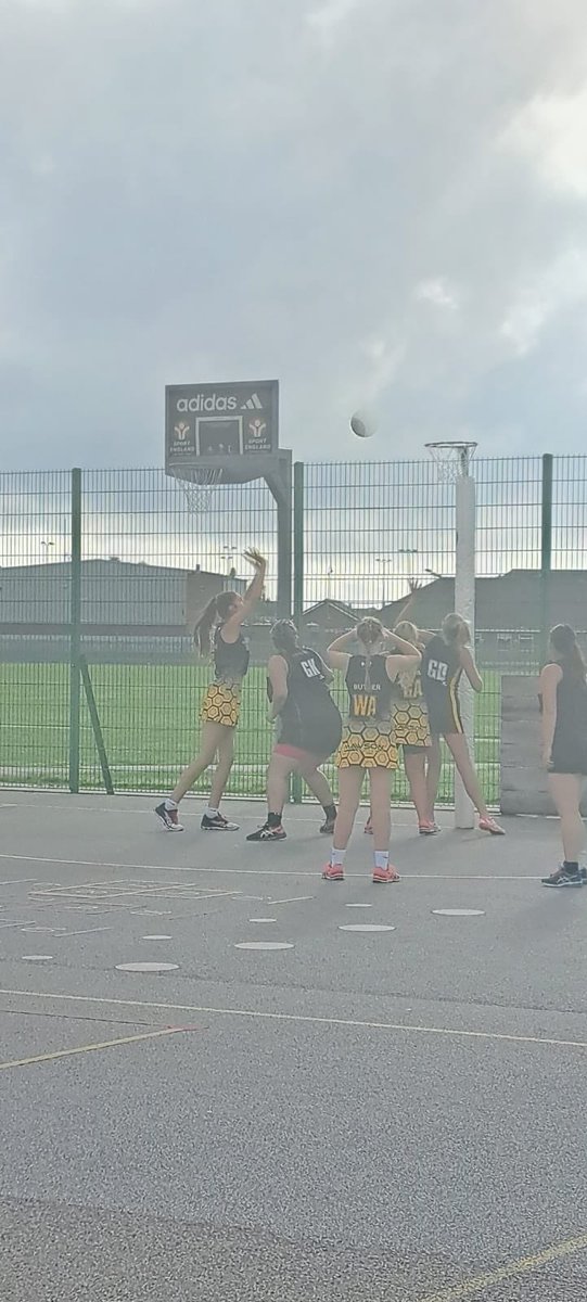QUEEN BEES NETBALL CLUB 🐝 tweet media