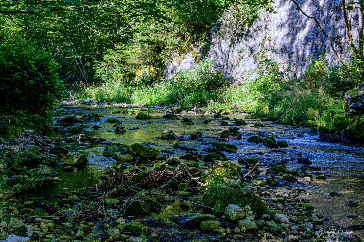 joeletique's tweet photo. gorge de Court #moutier #court #jura3lacs #myswitzerland #jurarando #swissrando #paysage #nature #birse https://t.co/B5ruIJuobV