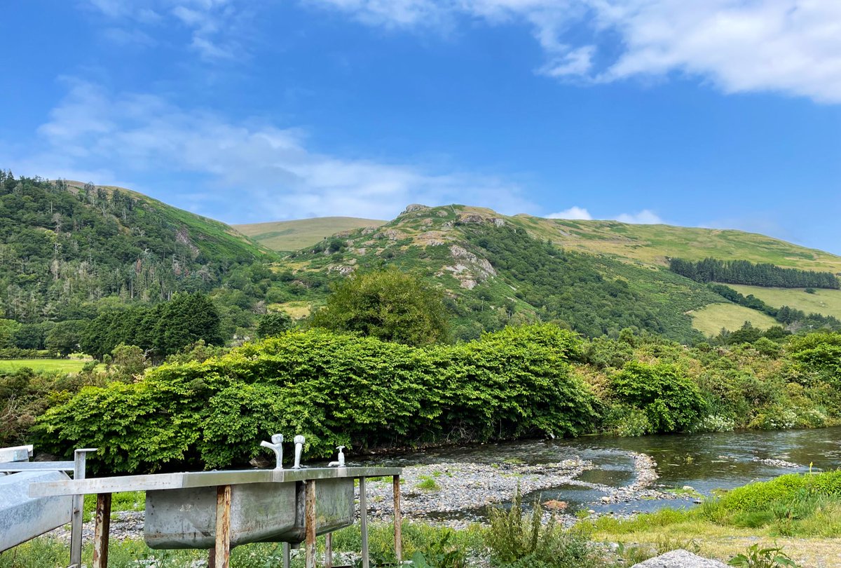 Rob Yorke tweet media