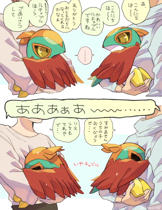 ルチャ見知りする赤ちゃんルチャチャ 