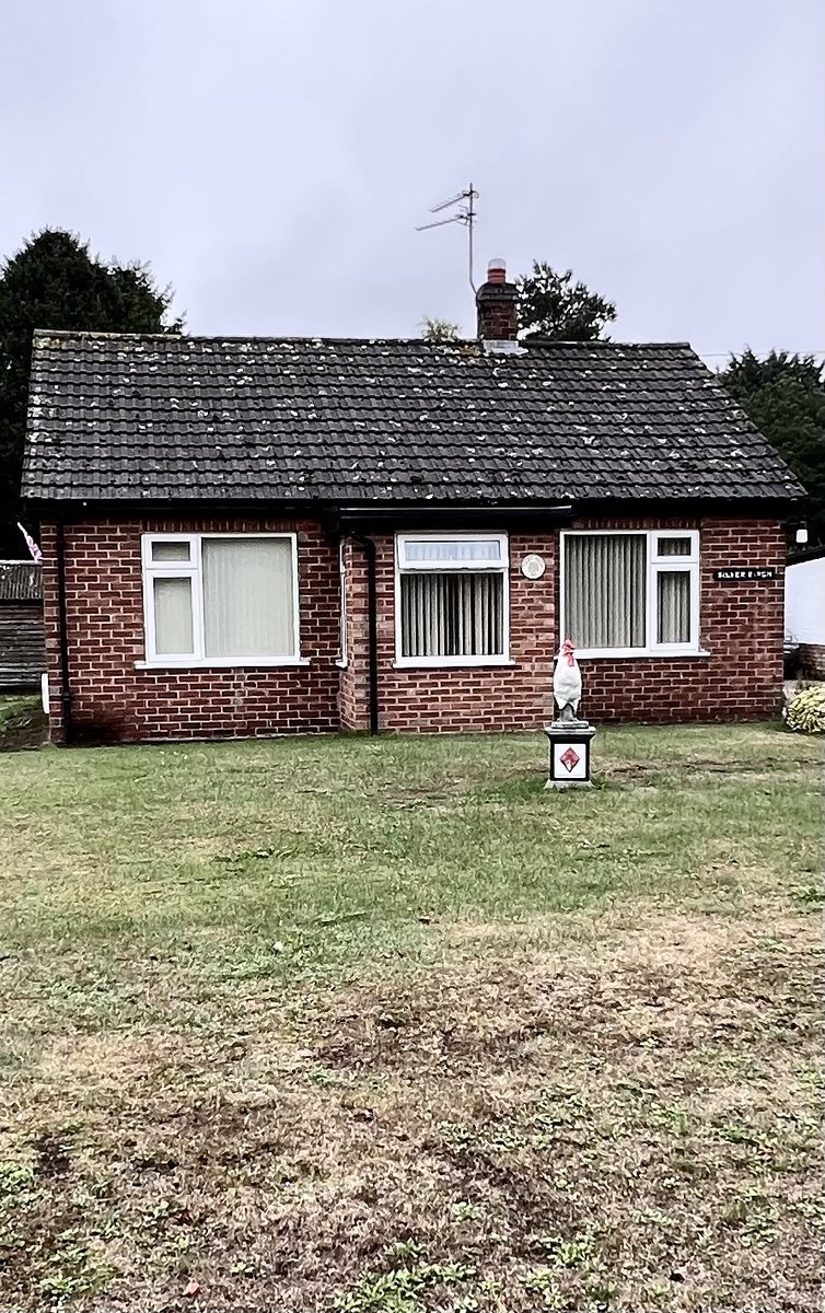 buckshot_eyes's tweet photo. Cockrell bungalow #Project365 #365project #bungalow #cockrell https://t.co/SC8qD8qFgj