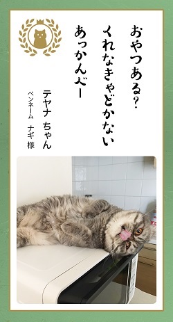 「君がため 稼いでくるよ 電気代」 第七回「どうぶつ川柳」優秀賞発表、センスと愛が光る10作品を紹介! https://t.co/ZilKZ3NFnU @itm_nlabより