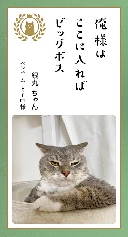 「君がため 稼いでくるよ 電気代」 第七回「どうぶつ川柳」優秀賞発表、センスと愛が光る10作品を紹介! https://t.co/ZilKZ3NFnU @itm_nlabより 